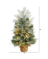 Winter Frosted Artificial Christmas Tree with 35 Led Lights in Burlap Base, 2'