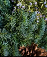 International Christmas Innovation Natural Noble Fir Fresh Holiday Wreath, 22"