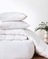 Clean Design Home Allergen Barrier Comforter