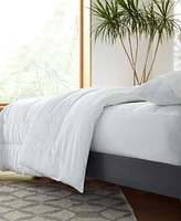 Clean Design Home x Martex Allergen Barrier Mattress Pad