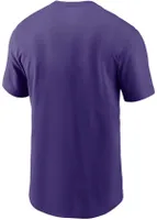 Men's Nike Purple Minnesota Vikings Hometown Collection Skol T-shirt