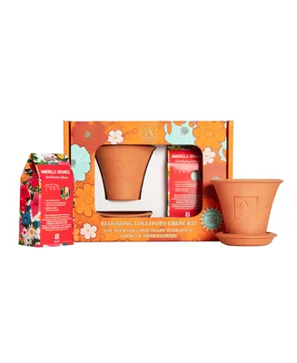 Amborella Organics Garden Lover's Grow Kit with Handmade Terra Cotta Pot and Saucer Gift Set, 8 Seed