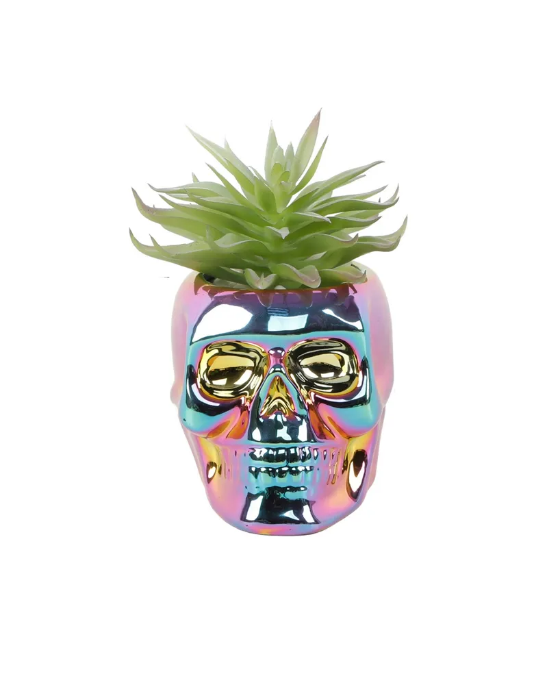 6" Artificial Succulent in Metallic Iridescent Skull Ceramic - Metallic Iridescent, Green