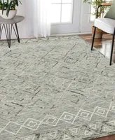 Amer Rugs Berlin Parsall 8' x 10' Area Rug