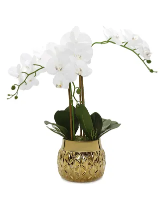 Orchid Plant in Round Hexagon Design Shiny Vase - Gold
