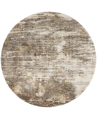 Feizy Parker R3705 7'9" x 7'9" Round Area Rug