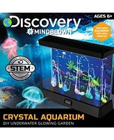 Discovery #Mindblown Crystal Aquarium Tank Diy Underwater Garden