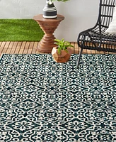 Nicole Miller Patio Country Danica 6'6" x 9'2" Area Rug