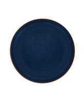 Pfaltzgraff Hunter 16 Piece Dinnerware Set