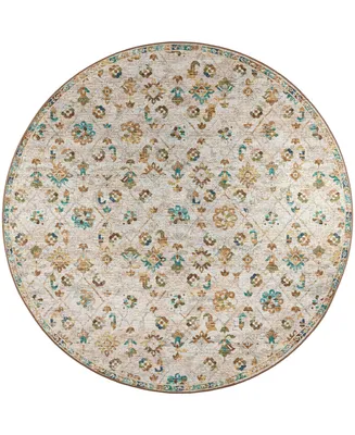 D Style Basilic BAS8 6' x Round Area Rug