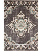 Lr Home Heirloom HRL8146A 5'3" x 7'10" Outdoor Area Rug