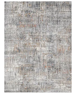 Amer Rugs Vermont Erysse 7'10" x 9'10" Area Rug