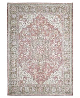 Amer Rugs Century Blythe 3'11" x 5'11" Area Rug