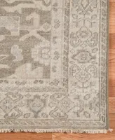 Amer Rugs Ainsley Mesilla 2' x 3' Area Rug