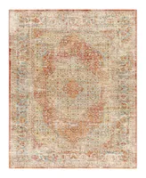 Surya Aspendos Aps- 2' x 3' Area Rug