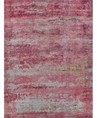 Exquisite Rugs Antolini Er2535 Area Rug