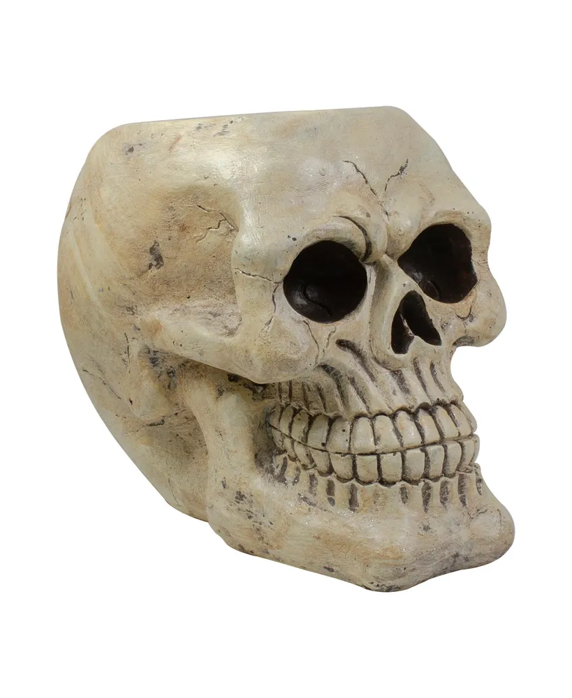 Halloween Skull Tabletop Decoration, 11"