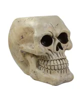 Halloween Skull Tabletop Decoration, 11"