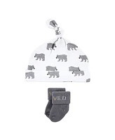Hudson Baby Baby Boys Hudson Cap and Socks Set, Dinosaur, 0-9 Months