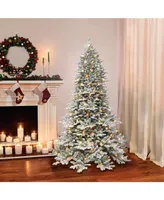 6.5' Pre-Lit Flocked Royal Majestic Douglas Fir Downswept Tree with 500 Underwriters Laboratories Clear Incandescent Lights, 3402 Tips