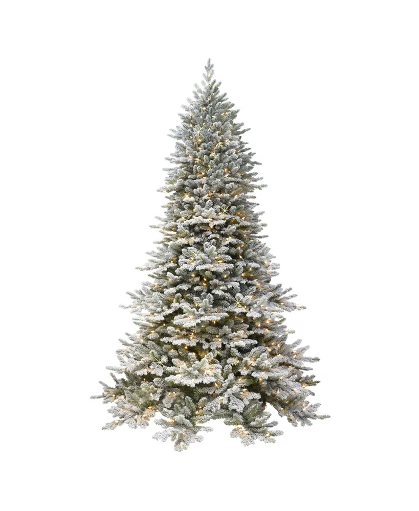 6.5' Pre-Lit Flocked Royal Majestic Douglas Fir Downswept Tree with 500 Underwriters Laboratories Clear Incandescent Lights, 3402 Tips