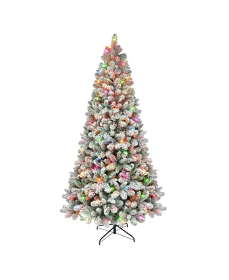 6.5' Pre-Lit Flocked Virginia Pine Tree with 300 Underwriters Laboratories Multi Color Incandescent Lights, 787 Tips