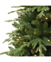 7.5' Pre-Lit Galveston Fir Tree with 800 Underwriters Laboratories Clear Incandescent Lights, 3485 Tips