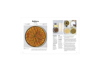 Lebanese Cuisine: The Authentic Cookbook by Samira Kazan