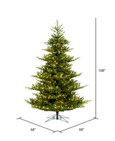 Vickerman Hudson Fraser Fir Artificial Christmas Tree, Dura-lit Led Warm Mini Lights, 9'