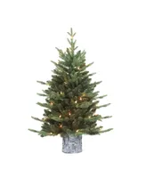 Puleo Pre-Lit Potted Artificial Christmas Tree with 50 Lights, 3'