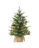 Puleo Pre-Lit Table Top Artificial Christmas Tree with Pine Cones in Sac, 2'