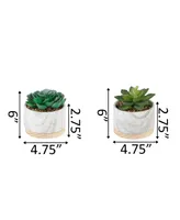Flora Bunda Succulent in Base Set, 2 Piece