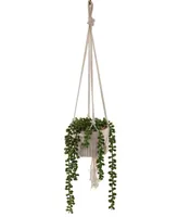 Flora Bunda String of Pearls Macrame Hanging Ceramic Pot Donkey Tails