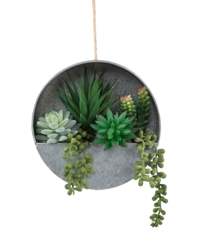 Flora Bunda Succulent in Hanging Galvanized Tin Wall Planter, 8"