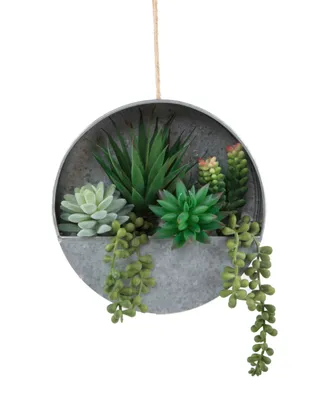 Flora Bunda Succulent in Hanging Galvanized Tin Wall Planter, 8"