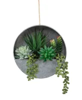 Flora Bunda Succulent in Hanging Galvanized Tin Wall Planter, 8"