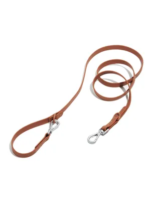 Wild One Standard Leash for Dogs