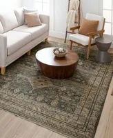 Karastan Echo Milo Area Rug