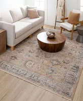 Closeout Karastan Echo Aurelia Area Rug