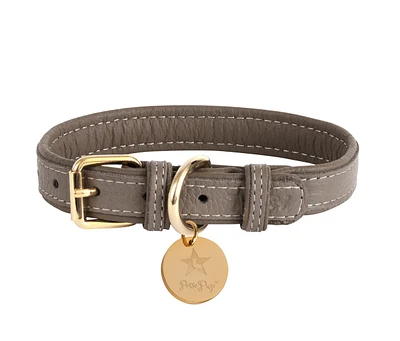 PoisePup Pet Dog Collar - Desert Mint