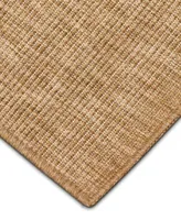 Liora Manne Sahara Plains Area Rug