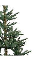 Northlight Pre-Lit Nordmann Fir Artificial Christmas Tree Warm with Clear Led Lights Set, 6.5'