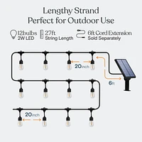 Ambience Pro 27 ft. Outdoor Solar Led 2-Watt String Lights with Soft White Hue