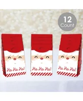 Big Dot of Happiness Jolly Santa Claus - Christmas Gift Favor Bags - Party Goodie Boxes 12 Ct