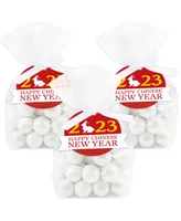 Big Dot of Happiness 2024 Year of the Dragon - Lunar New Year - Treat Bags With Tags - Set of 12