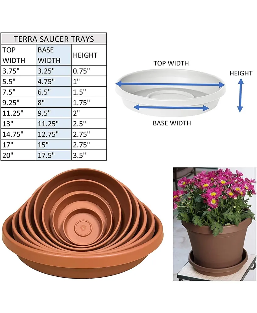 Bloem Terra Plant Saucer Tray for Planters Terra Cotta 5.5" Diameter