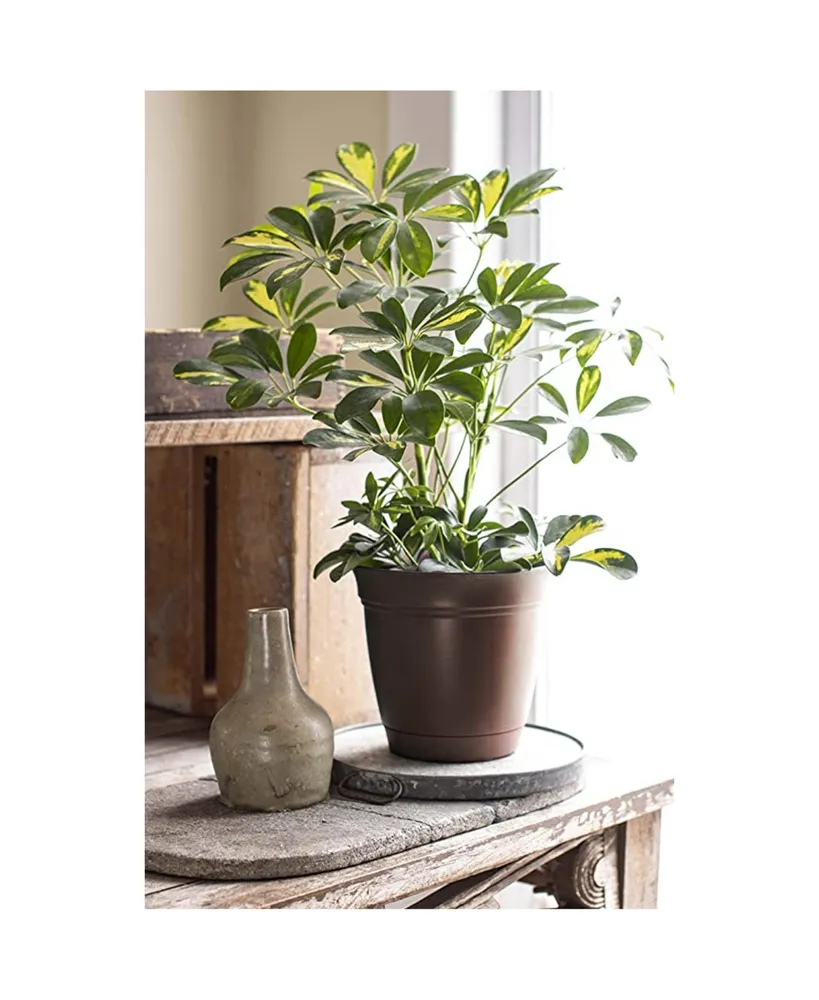 Hc Companies Eclipse Round In Outdoor Plastic Planter Chocolate 12in