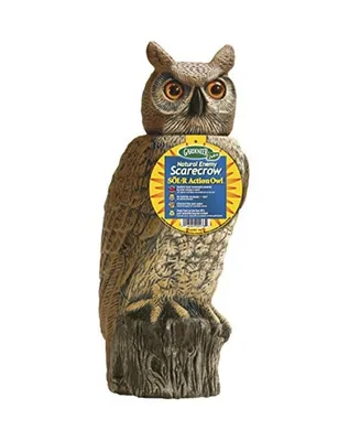 Gardeneer by Dalen DALSRHO4 Solar Action Owl Natural Scarecrow Device, 18in