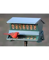 Woodlink Absolute Ii Squirrel Resistant Bird Feeder 7536