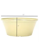 Gardener Select GSATBR12235 Tulip Bowl Planter White